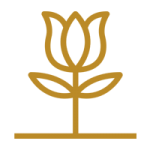 flower 150x150.png
